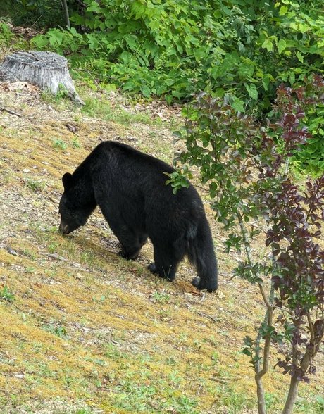 Fallon Jane onlyfans leak naked