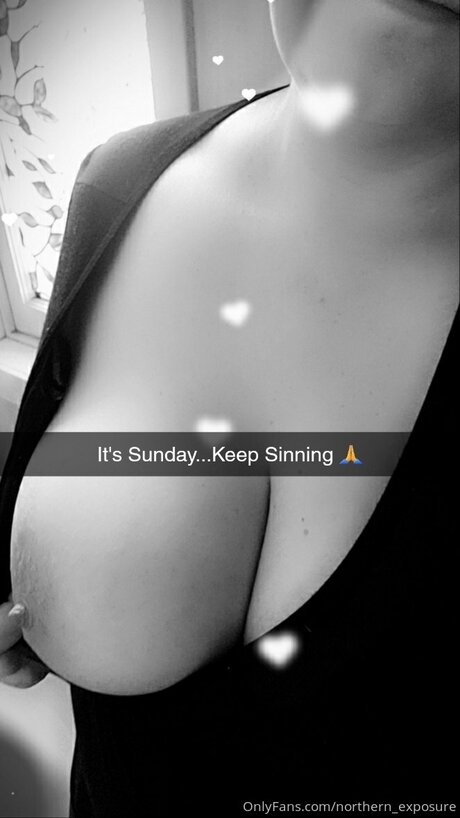 Northern Exposure  illustration