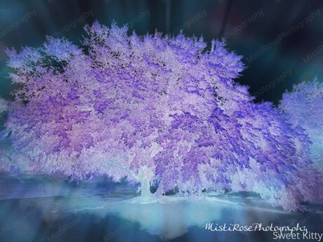 Sweetkitty777 onlyfans leak new