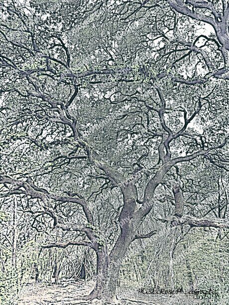 Sweetkitty777 leaked only fans porn