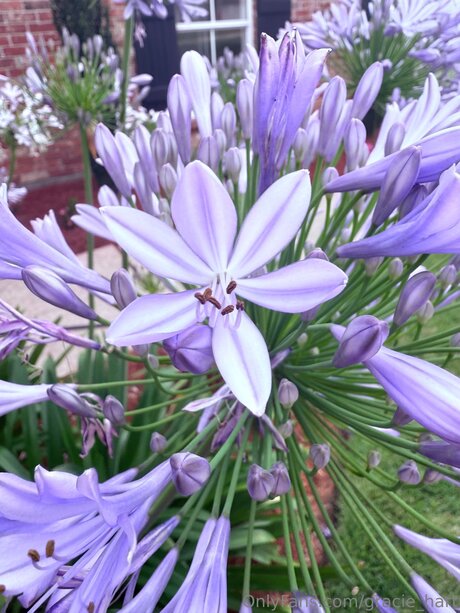 Gracie Hart onlyfans leaked nudes