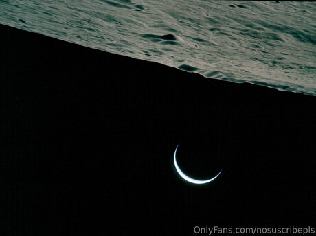 Nosuscribepls onlyfans nsfw