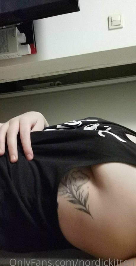 nordickitten boobs onlyfans
