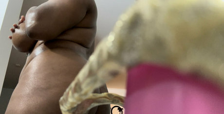 thelingerielounge onlyfans leak porn