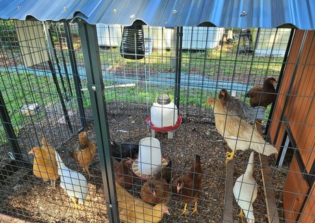 deealice onlyfans naked porn