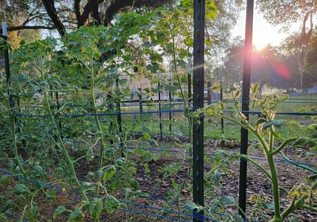 deealice onlyfans leaked pictures