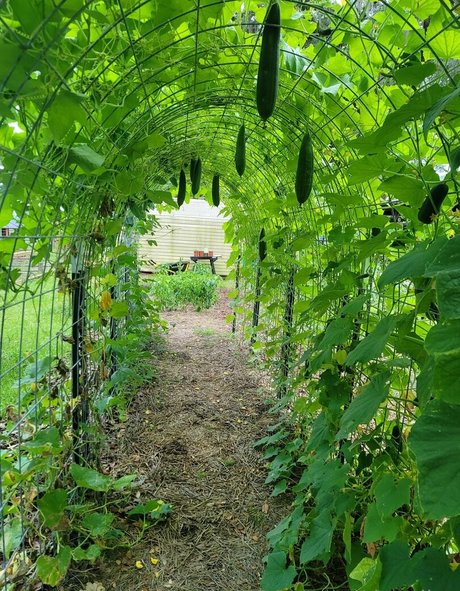 deealice nude on onlyfans