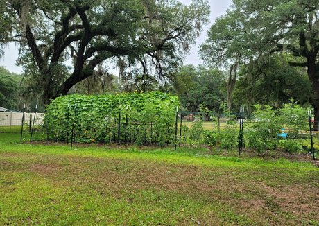 redhead pawg onlyfans hot naked negative