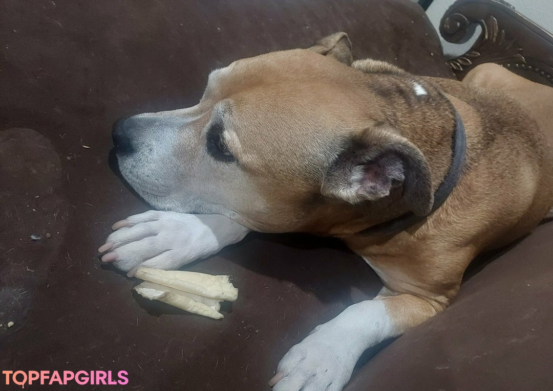 stellaaeternum naked leaked onlyfans