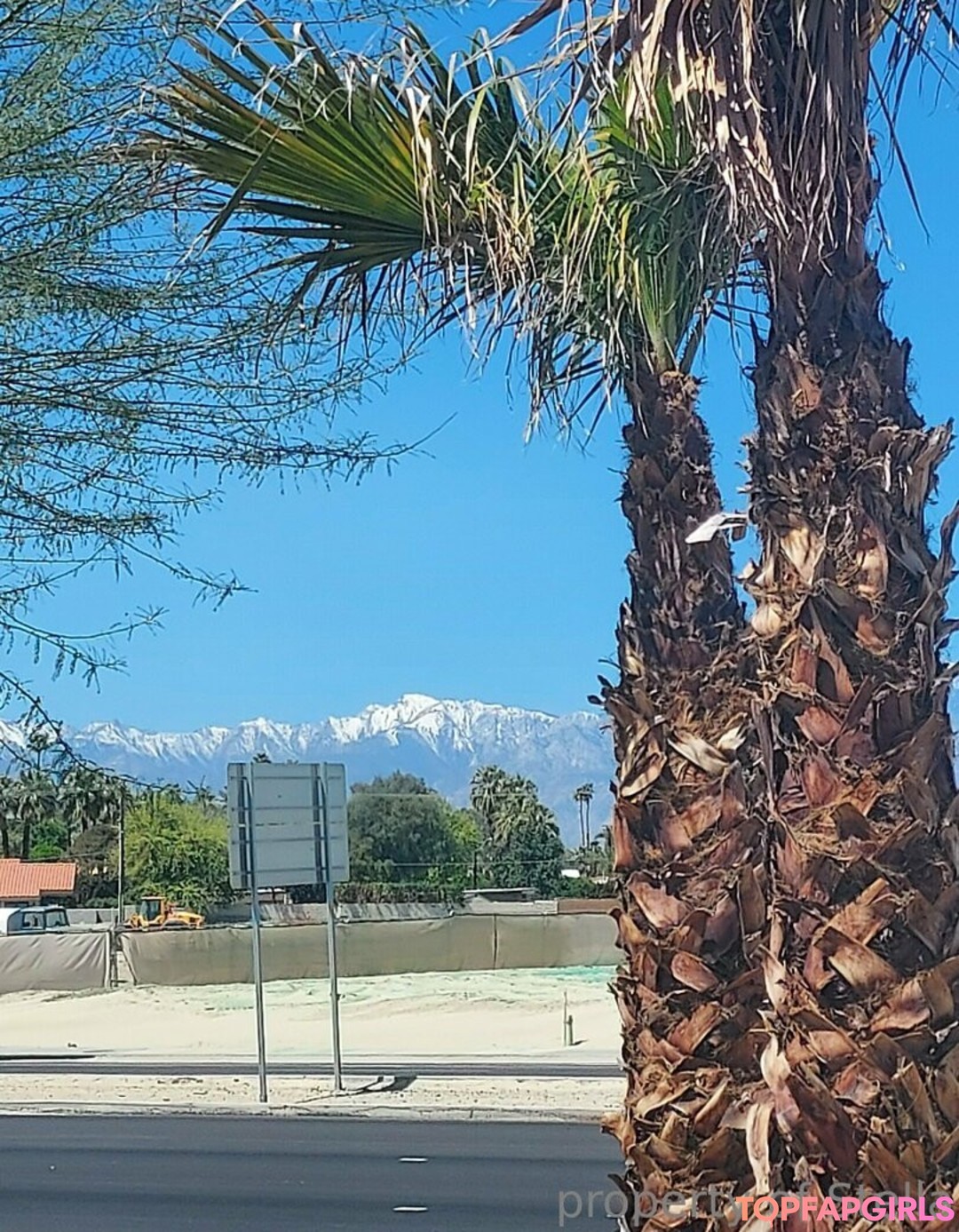 stellaaeternum onlyfans nudes