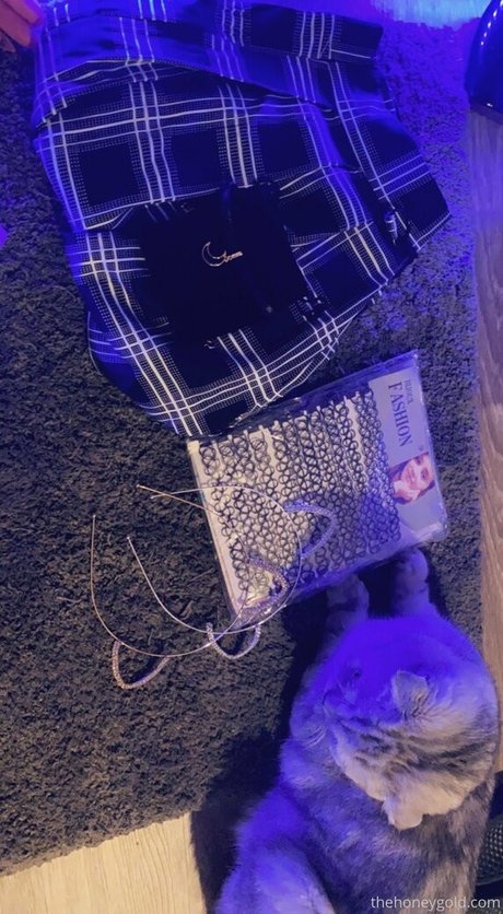 honeygold onlyfans pictures