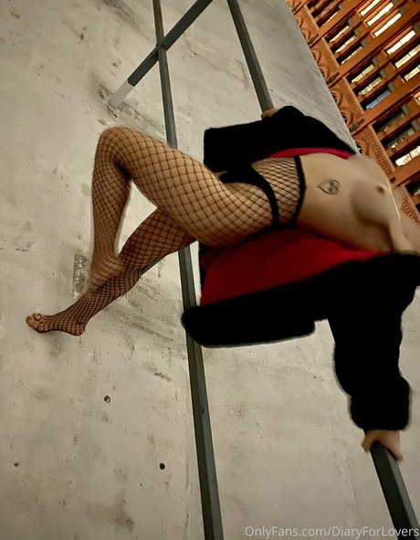 diaryforlovers onlyfans nude