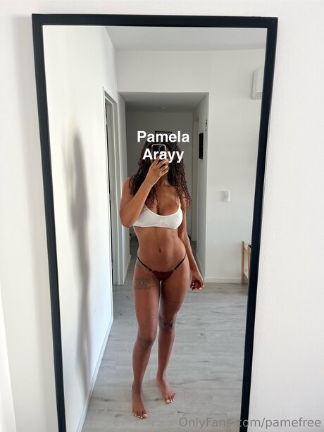 Pamefree leaked only fans nudes