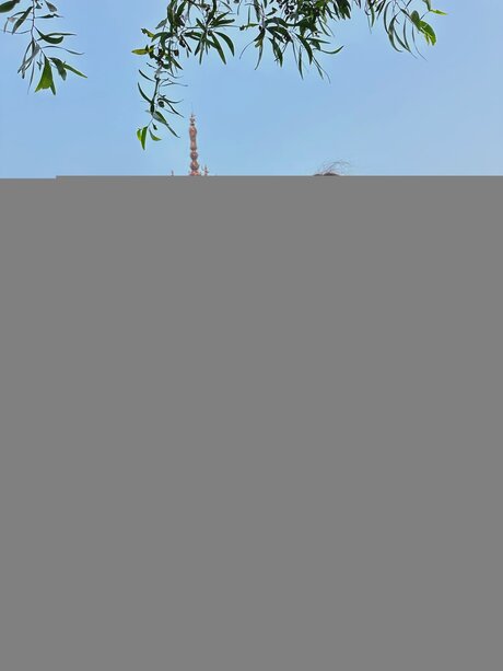 Lilia Ss onlyfans sex