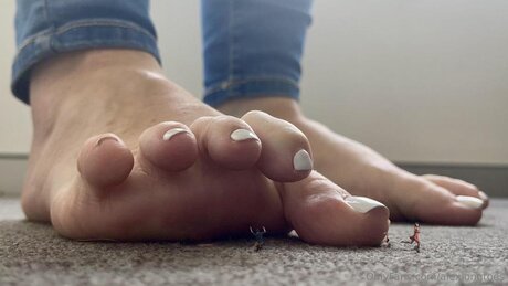 Alexlongtoes boobs onlyfans