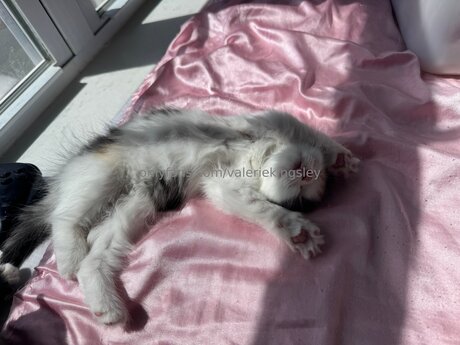 bikini blowjob onlyfans art nude print