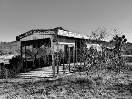 Cissaldansinferno onlyfans leaka