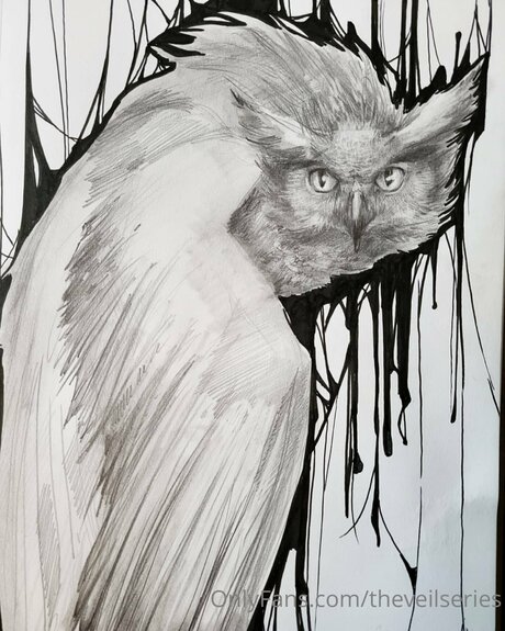 Theveilseries porn onlyfans