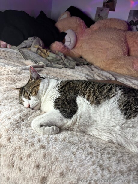 Kissxalice onlyfans porn nude