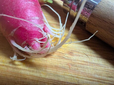 Natures Lil Nymp naked onlyfans