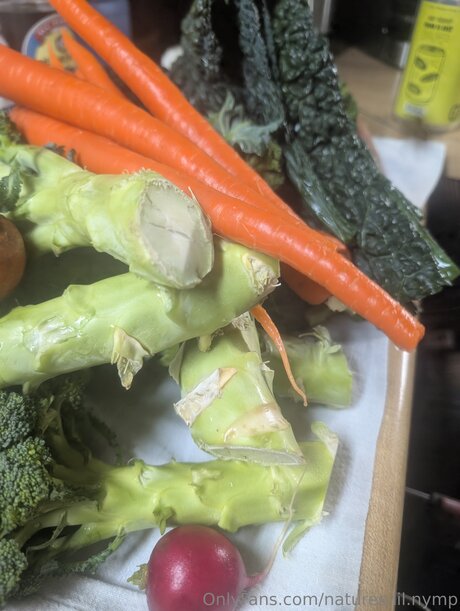 Natures Lil Nymp onlyfans free