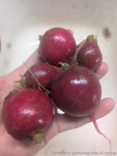 Natures Lil Nymp onlyfans leaked photos