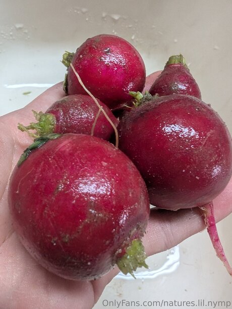 Natures Lil Nymp only fans sex