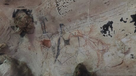 Rexistonee onlyfans explicit content