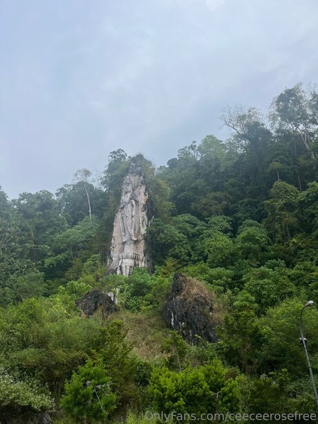 Ceeceerosefree naked onlyfans pics