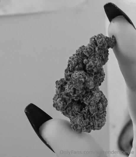 Surrendertoevie onlyfans naked