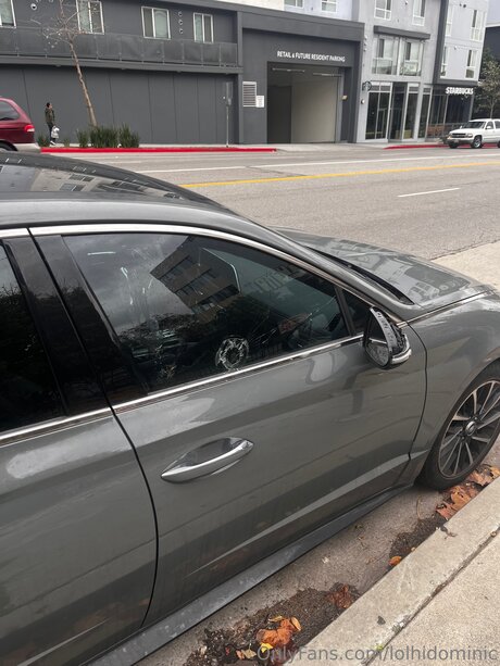 Ftmonlytrans onlyfans model images