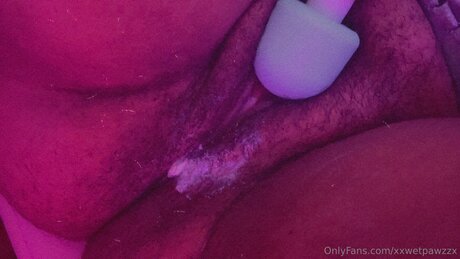 Xxwetpawzzx onlyfans full