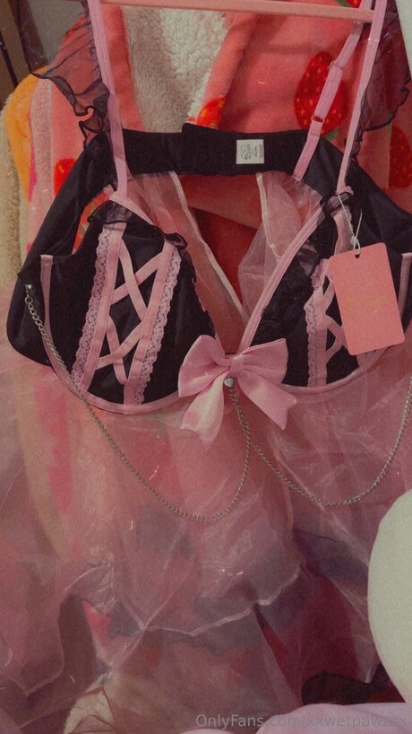 Xxwetpawzzx onlyfans content leaked