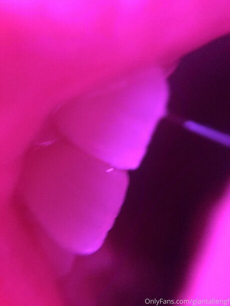 Giantaliengf  visuals