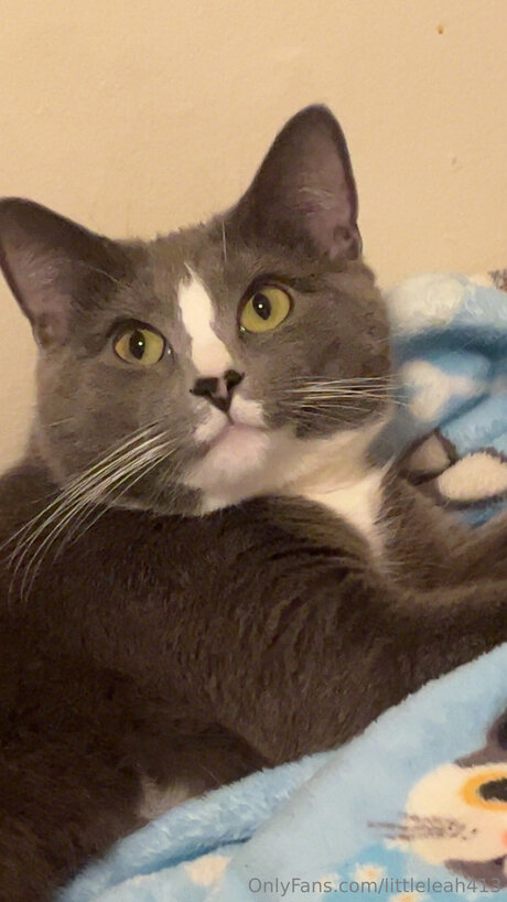 Littleleah413 onlyfans pictures
