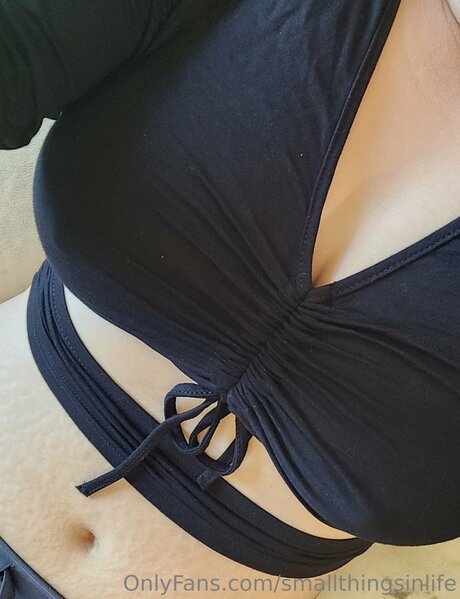Smallthingsinlife en onlyfans
