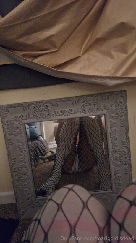 alternative cowgirl onlyfans hot xxx scan