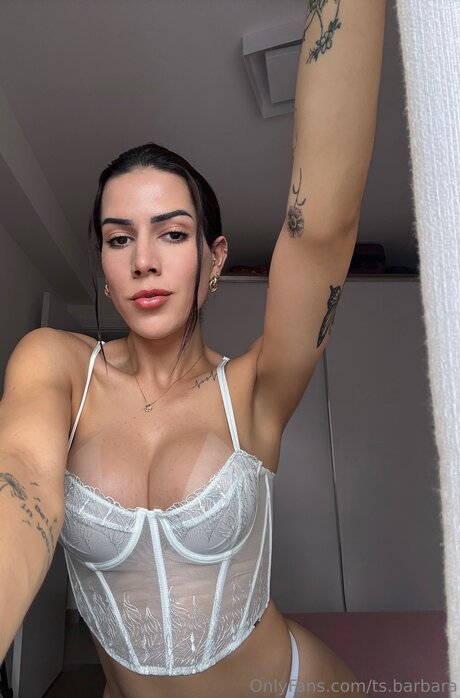 Ts Barbara onlyfans boobs