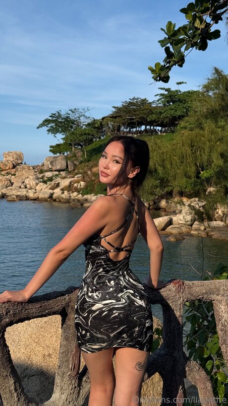 Liapetite leaked only fans