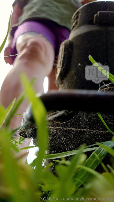 Ladykassmenagerie onlyfans leaked dirtyship