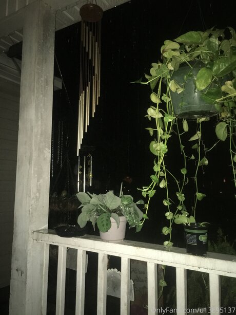 U13695137 onlyfans nudes