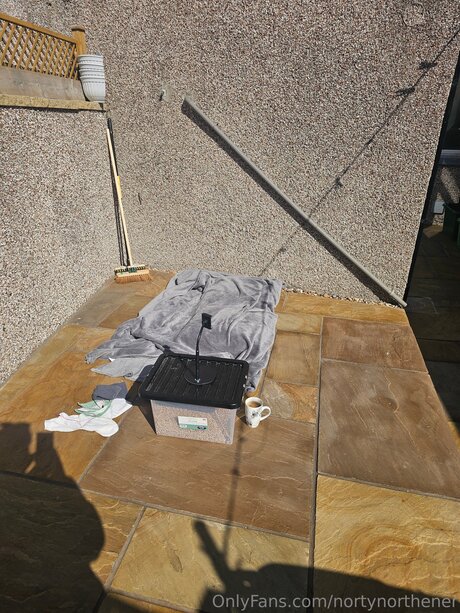 Nortynorthener onlyfans topless