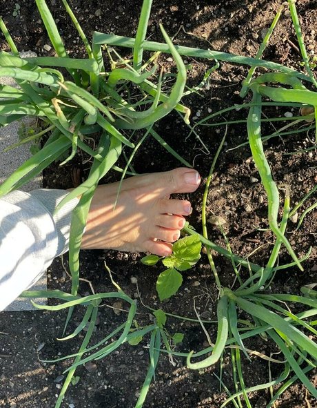 sunnymei onlyfans leak new