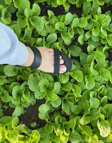 sunnymei onlyfans free