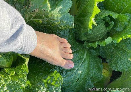 sunnymei onlyfans free