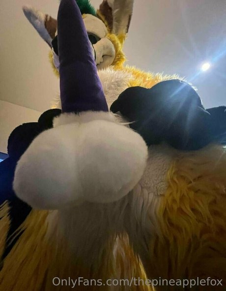 thepineapplefox onlyfans leak porn