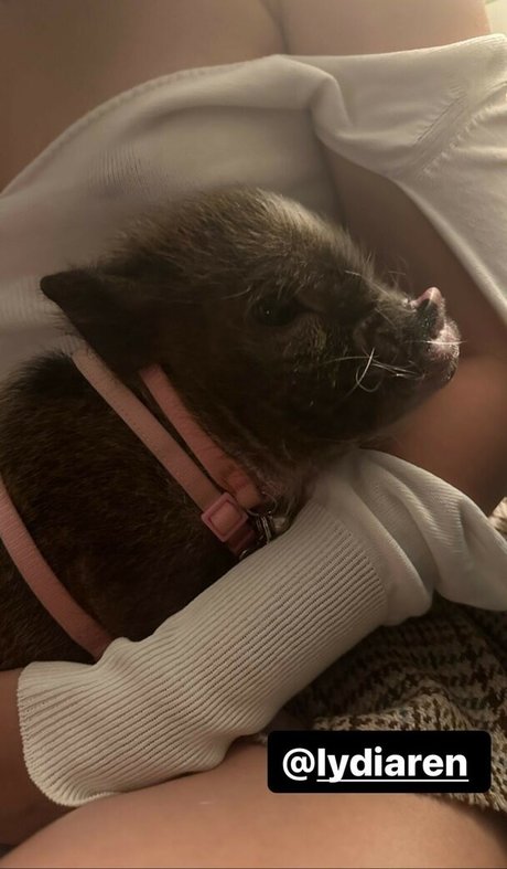 Lydiaren strip onlyfans