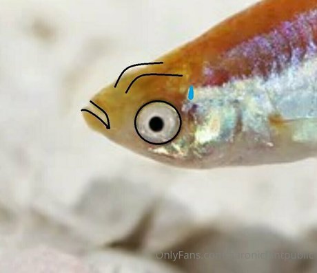 aaronicflintpublic only fans naked