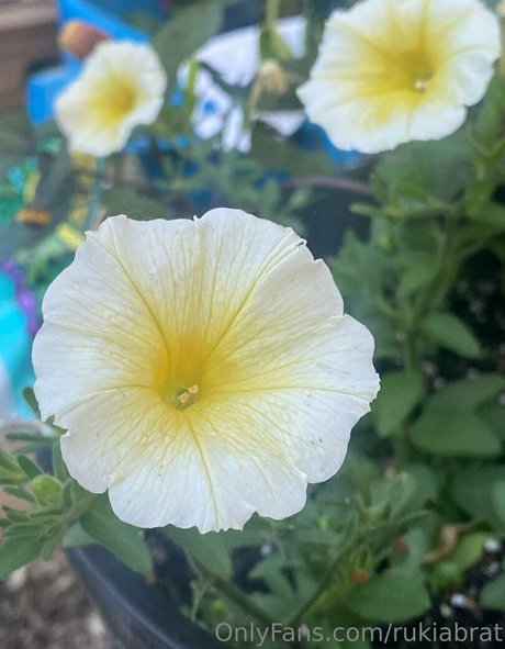 rukiabrat naked onlyfans leaked