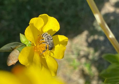 rukiabrat nsfw onlyfans